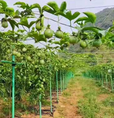 玻璃纖維復(fù)合材料-006
